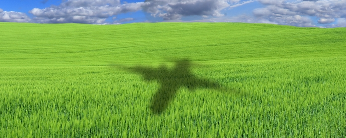 The use of biodiesel in the aviation industry