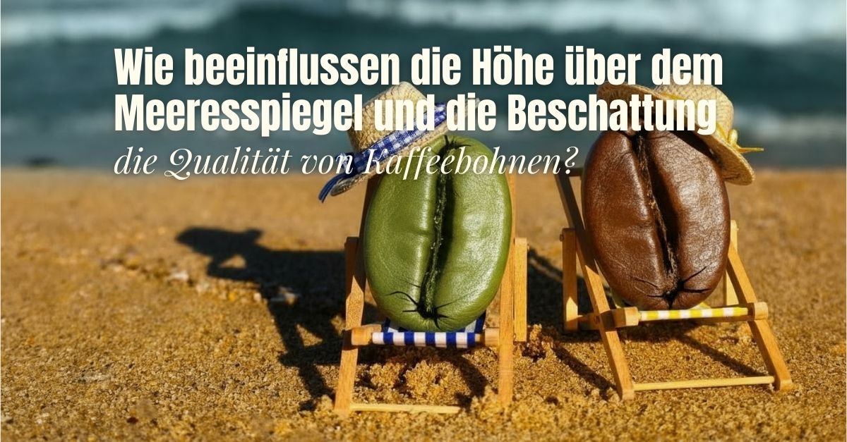 Wie beeinflussen die Höhe über dem Meeresspiegel und die Beschattung die Qualität von Kaffeebohnen?  