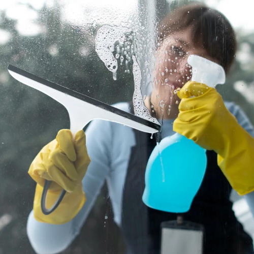 WHY PROFESSIONAL WINDOW WASHING IS PREFERRED OVER MAIDS