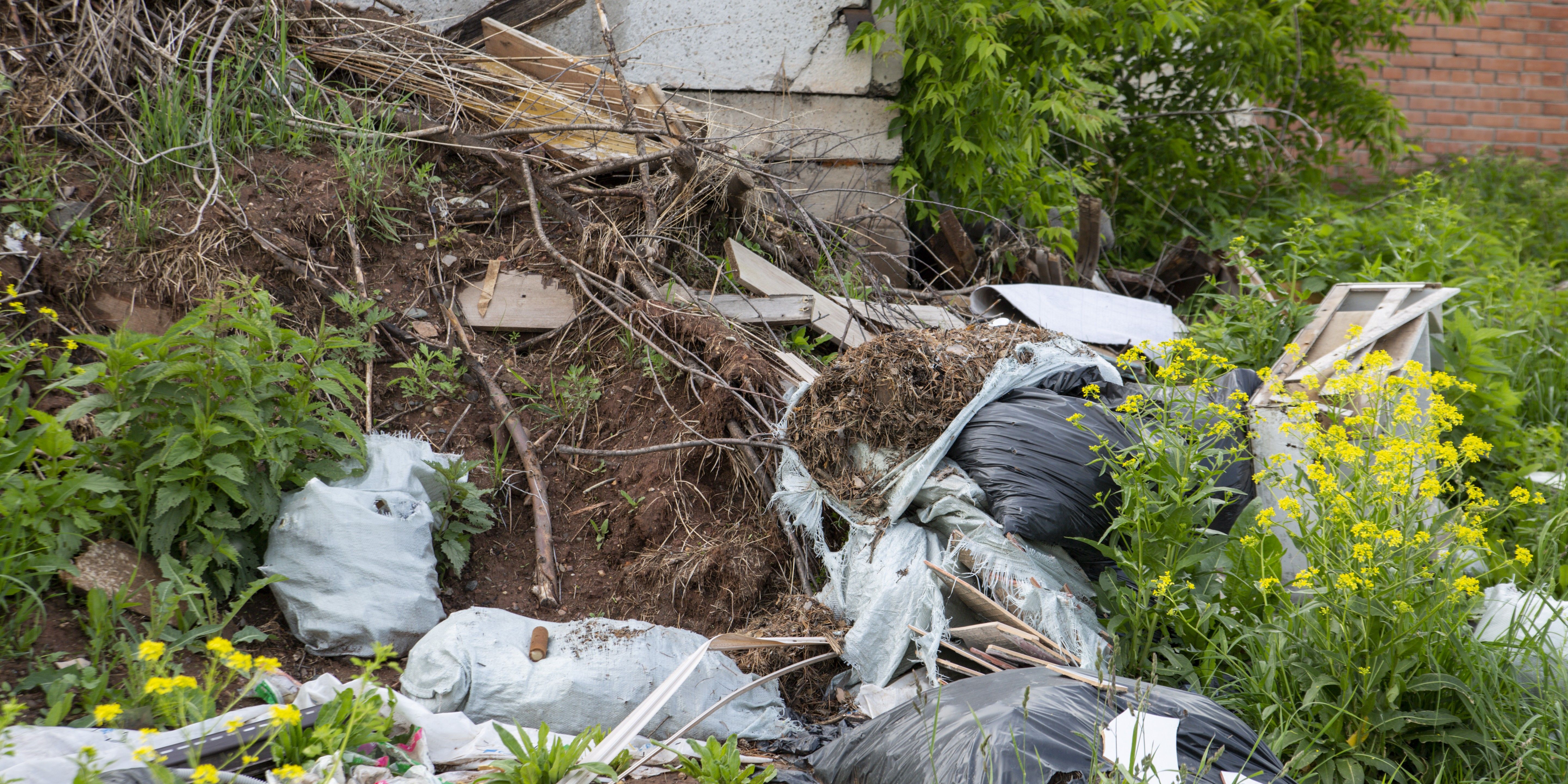 Yard Waste: Junk Removal Vancouver