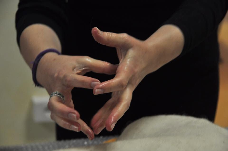 Merino Wool Through My Eyes