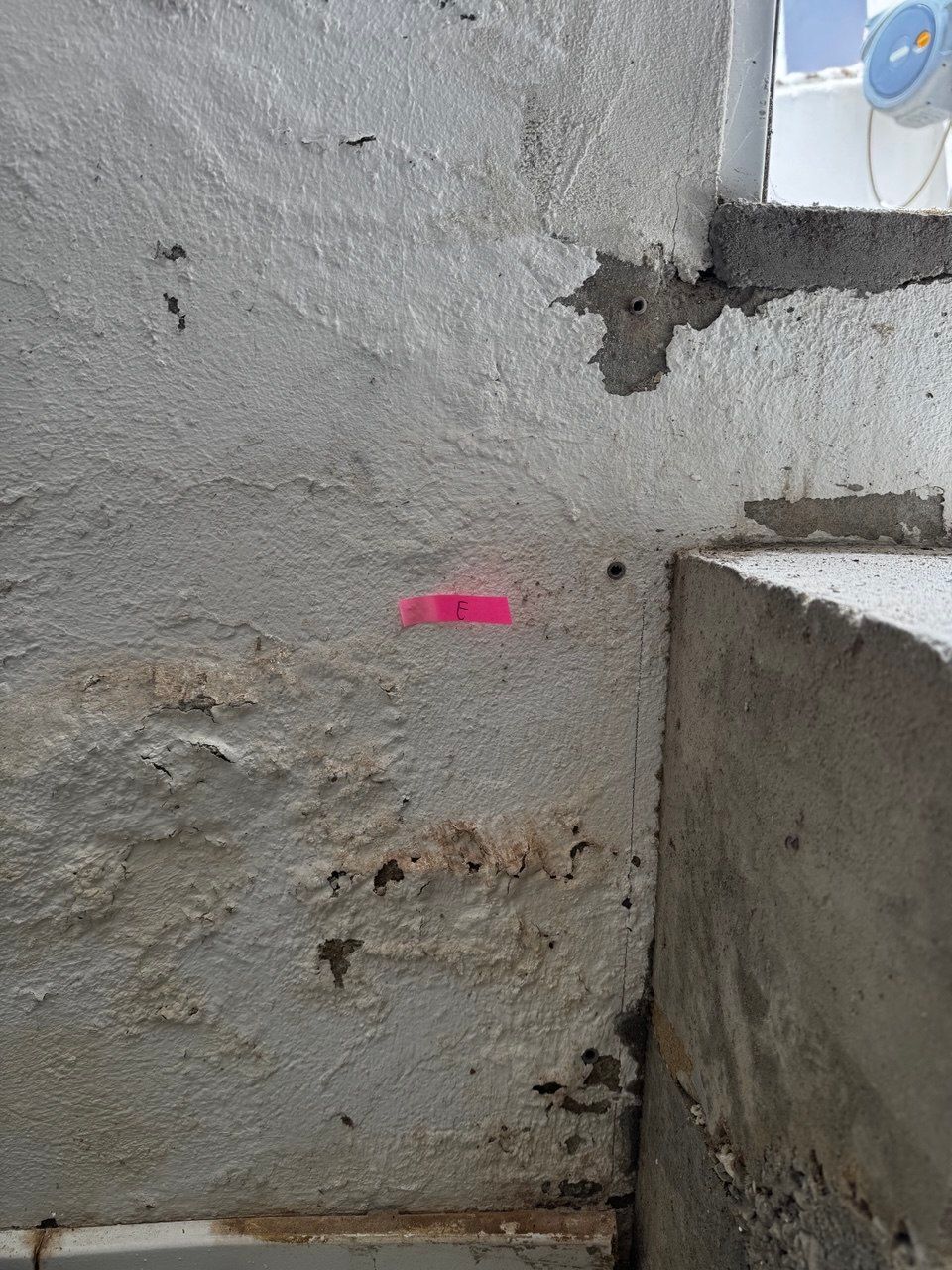 Mold testing vs mold inspection: what actually finds the problem