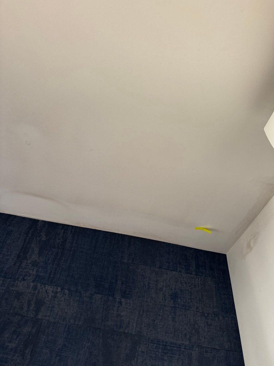Mold on ceiling: what causes it and why it returns