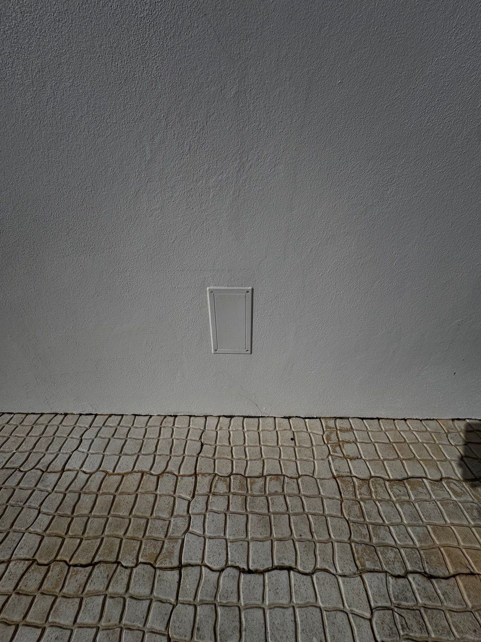 Mold behind walls: warning signs and reliable investigation