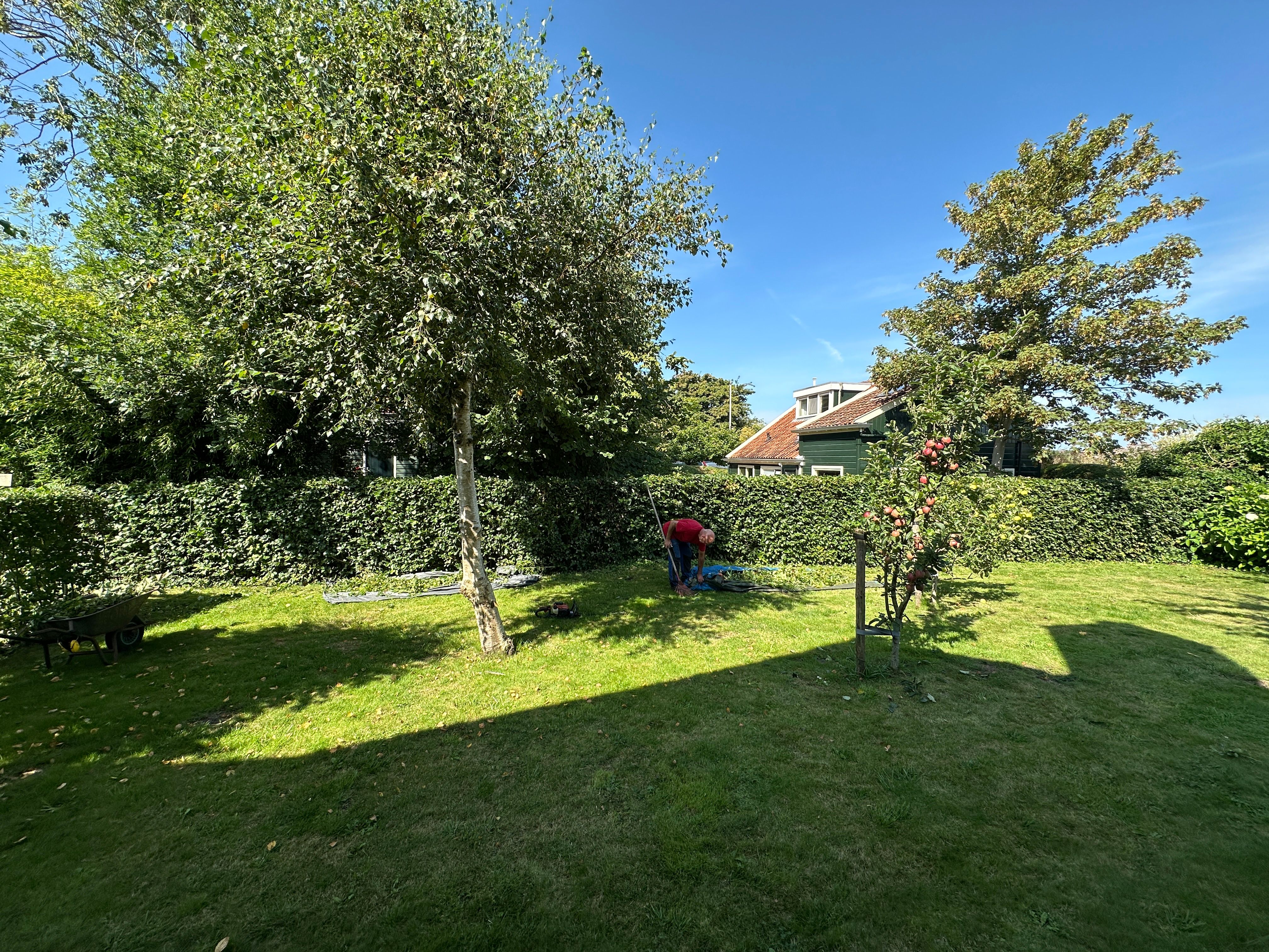 5 slimme tips voor een gezonde en verzorgde tuin
