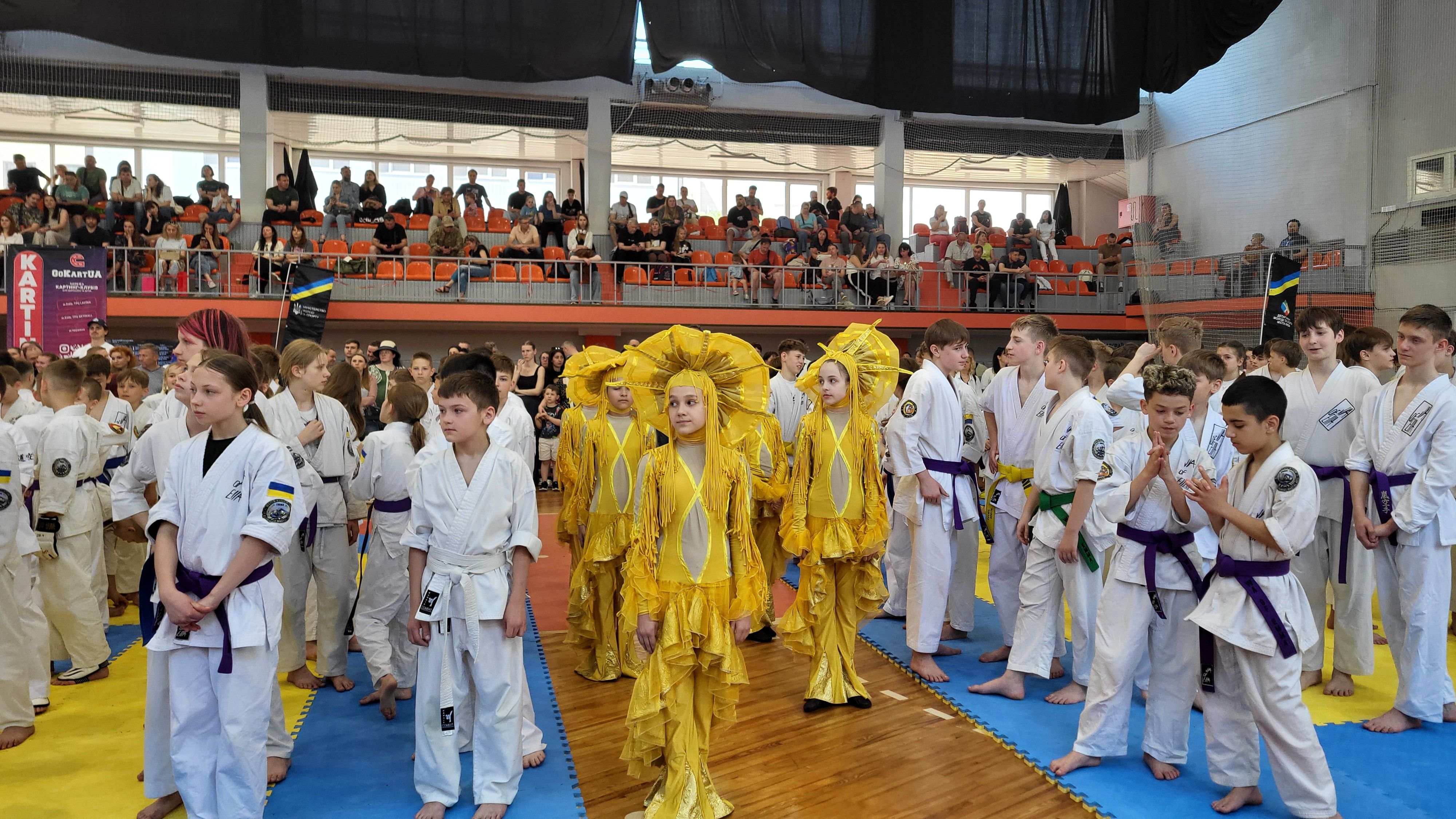 Відкритий Кубок Чемпіонів EMMA