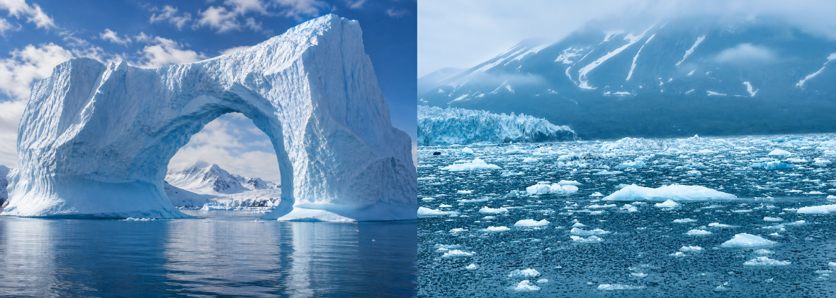 Antarctica vs. the Arctic: Which Polar Expedition Should You Choose?