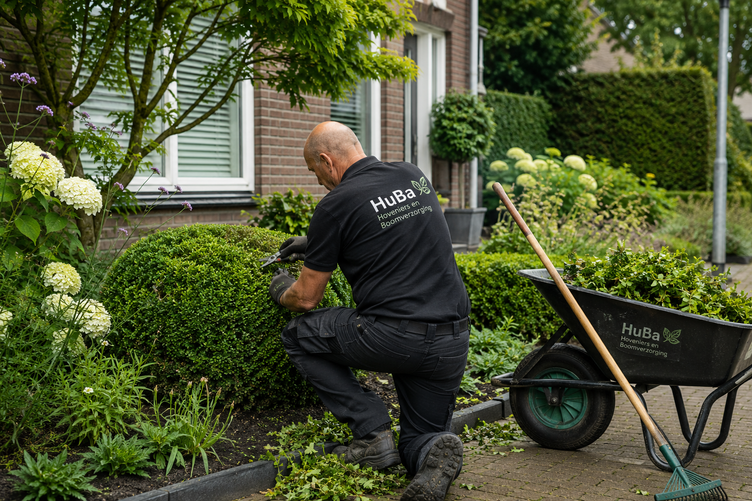 Wanneer is het beste moment om planten, struiken en hagen te planten?