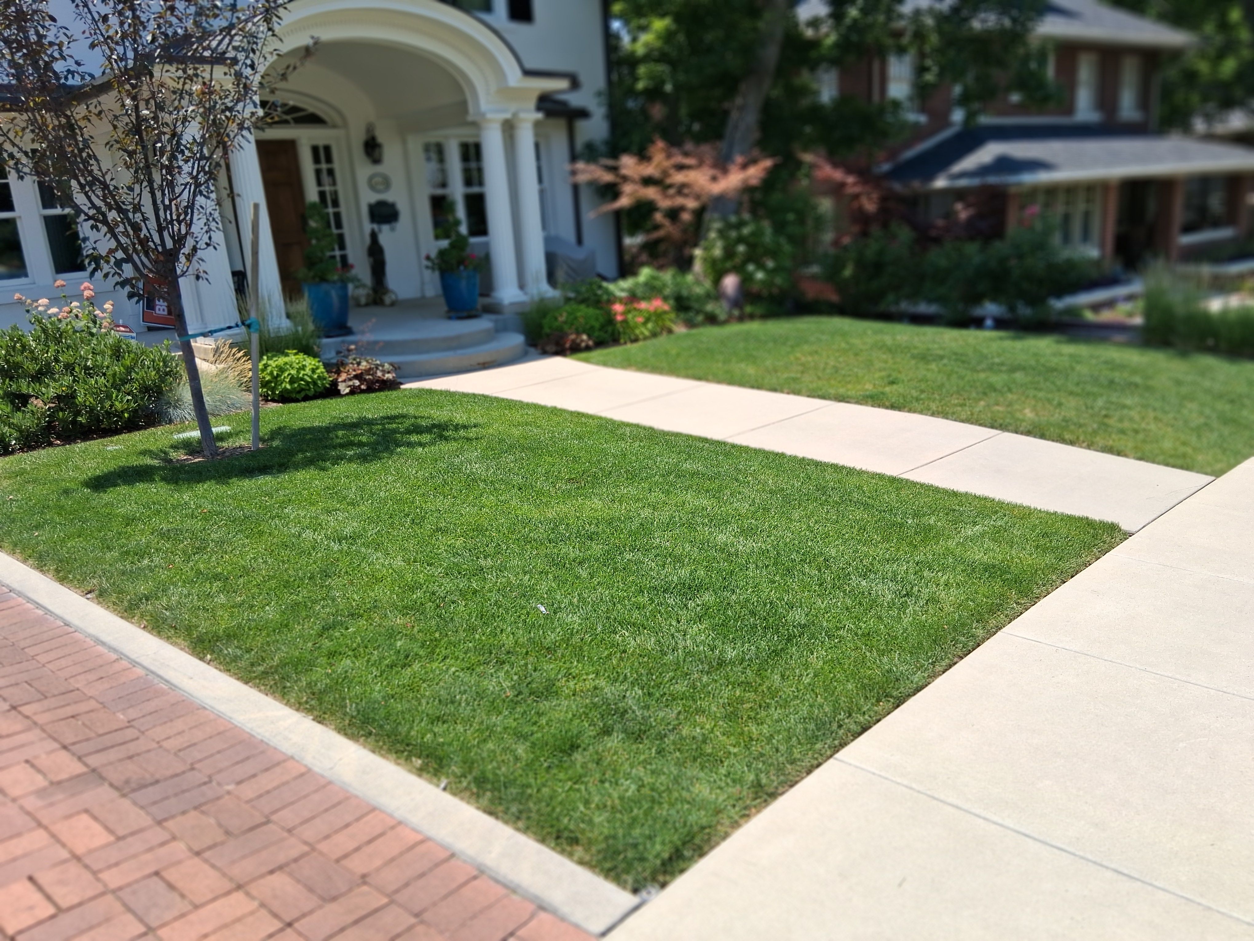 How to Remove Weeds From Driveways, Pavers & Walkways in Salt Lake City   
