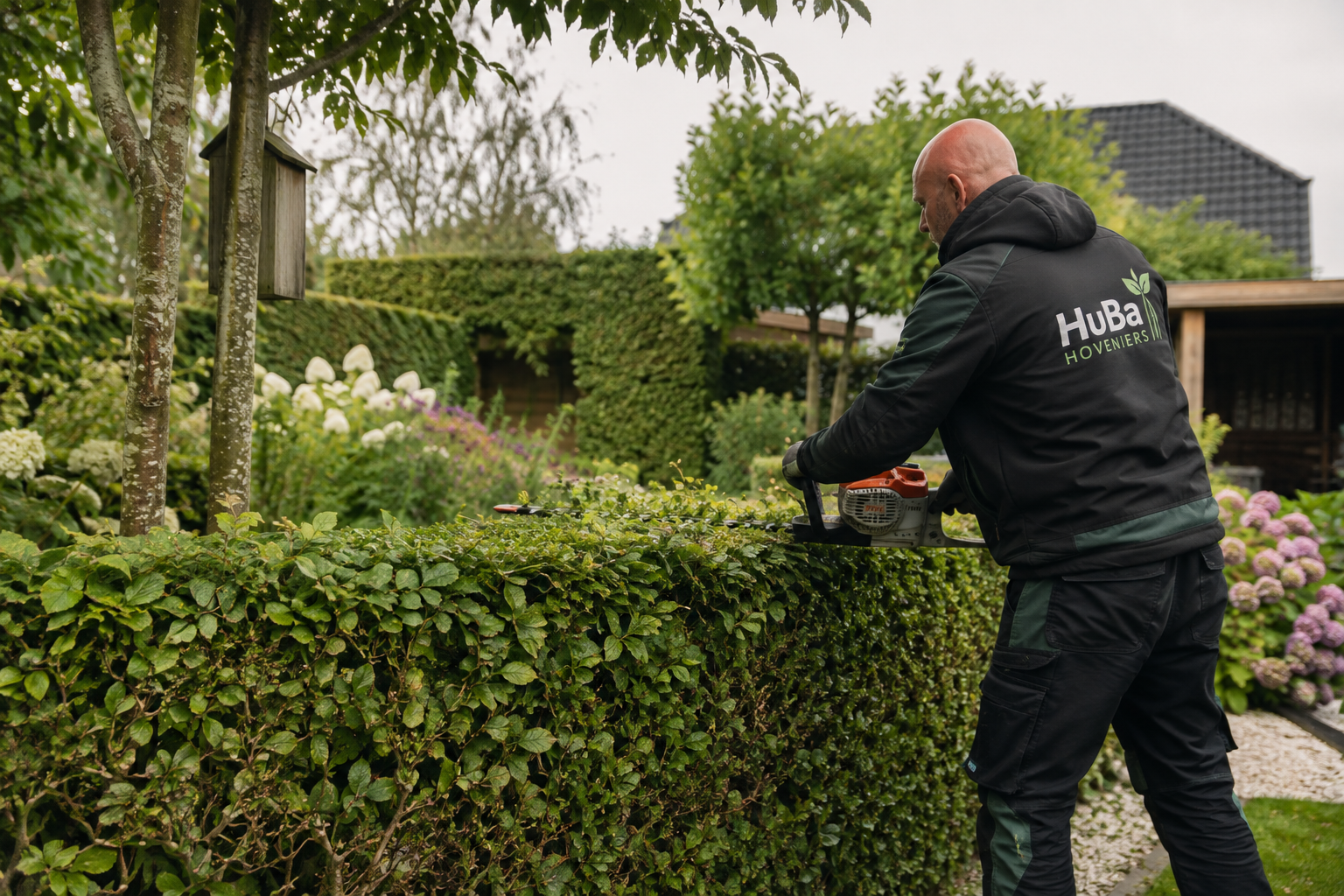 Haag snoeien in Ilpendam en Waterland: zo blijft uw tuin strak én gezond richting het najaar
