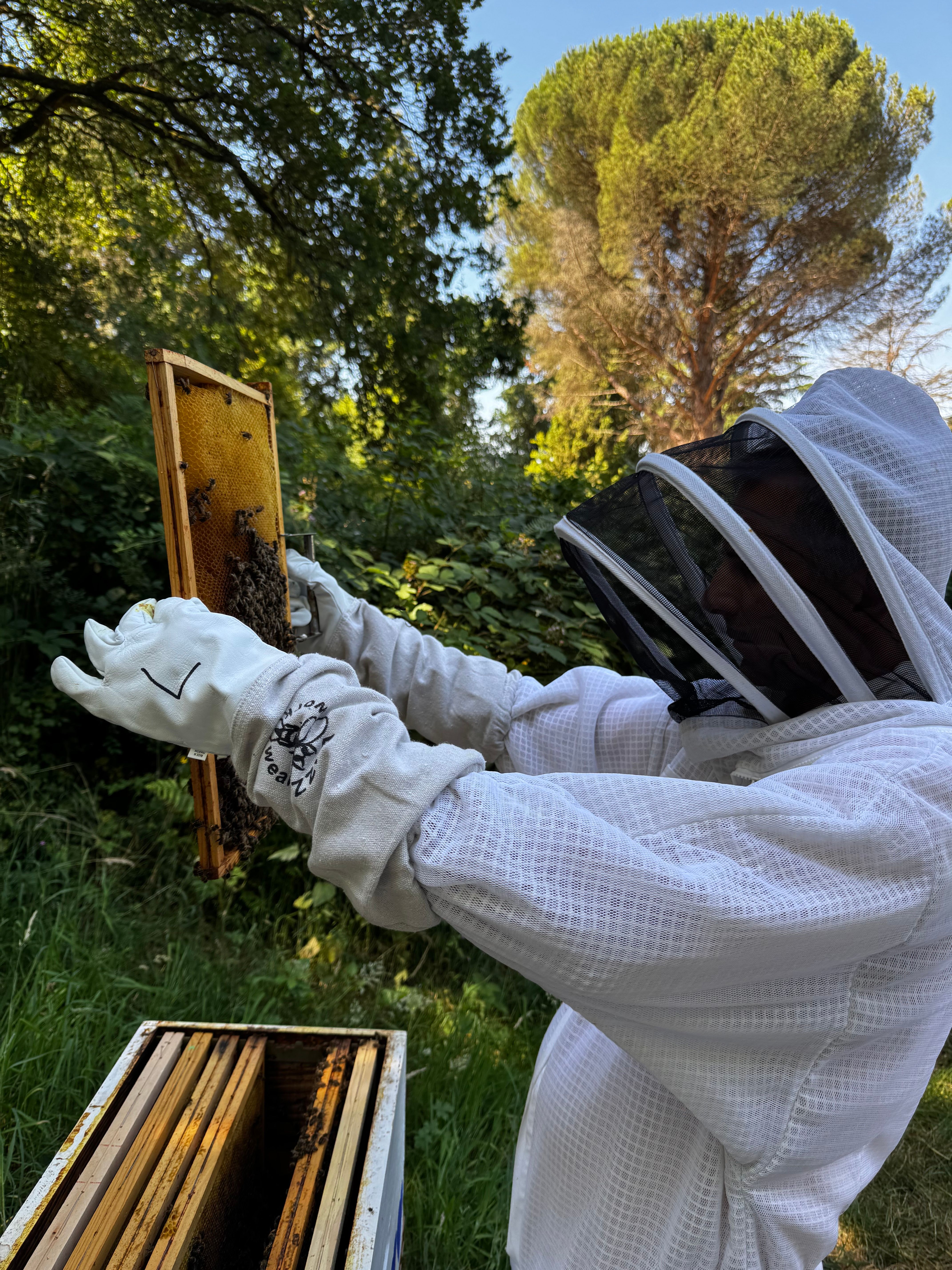 Abeilles et biodiversité en Charente | Notre démarche au Relais de Saint-Preuil 