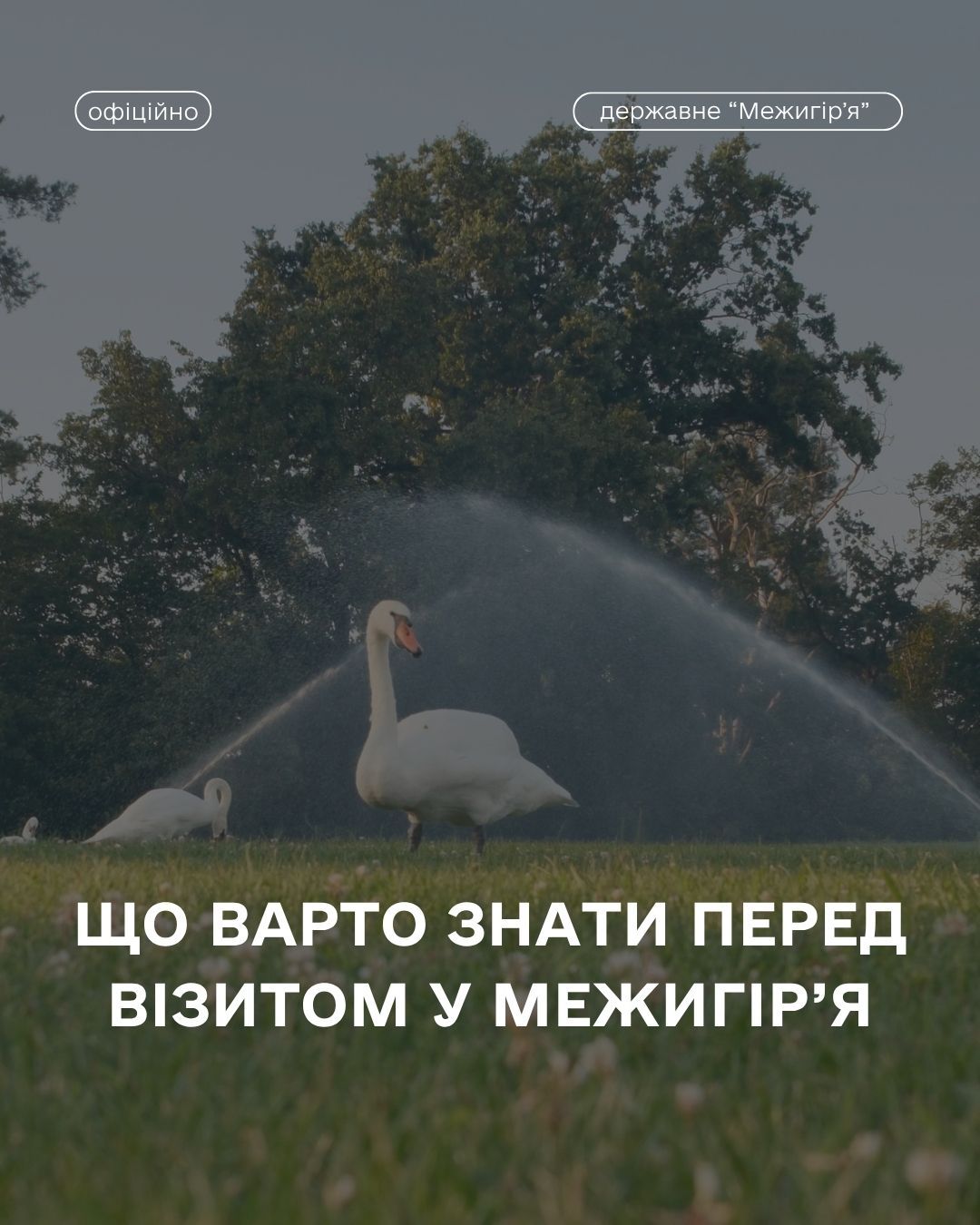 Що варто знати перед візитом у 