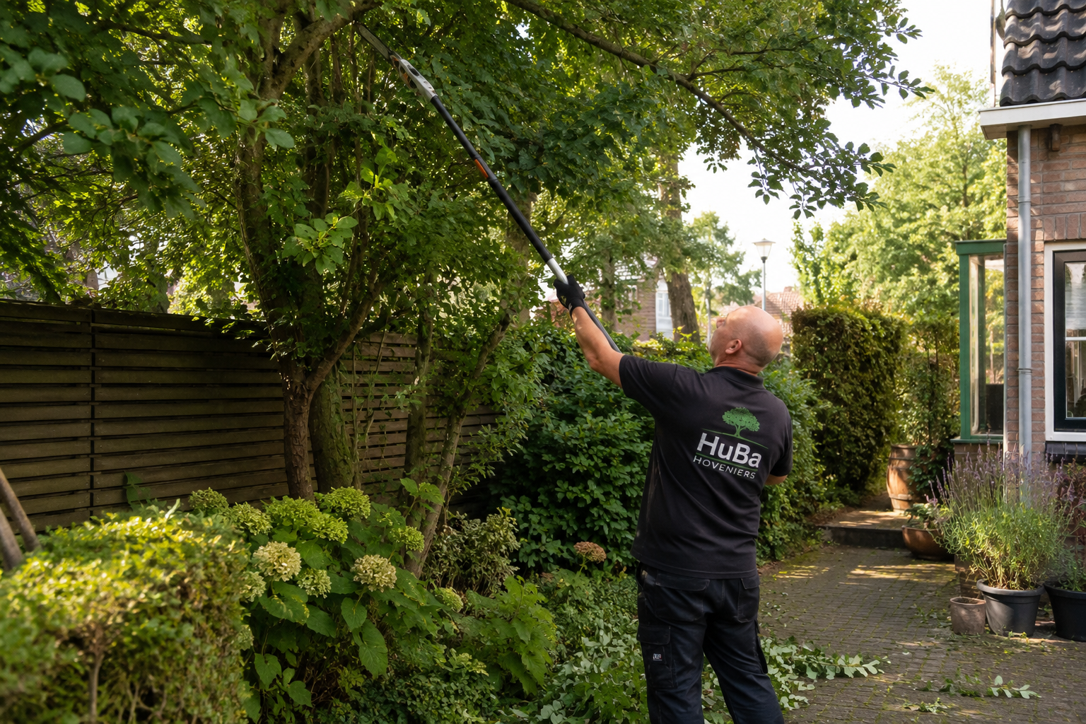 Tuin klaar voor september? Dit onderhoud voorkomt extra werk in het najaar
