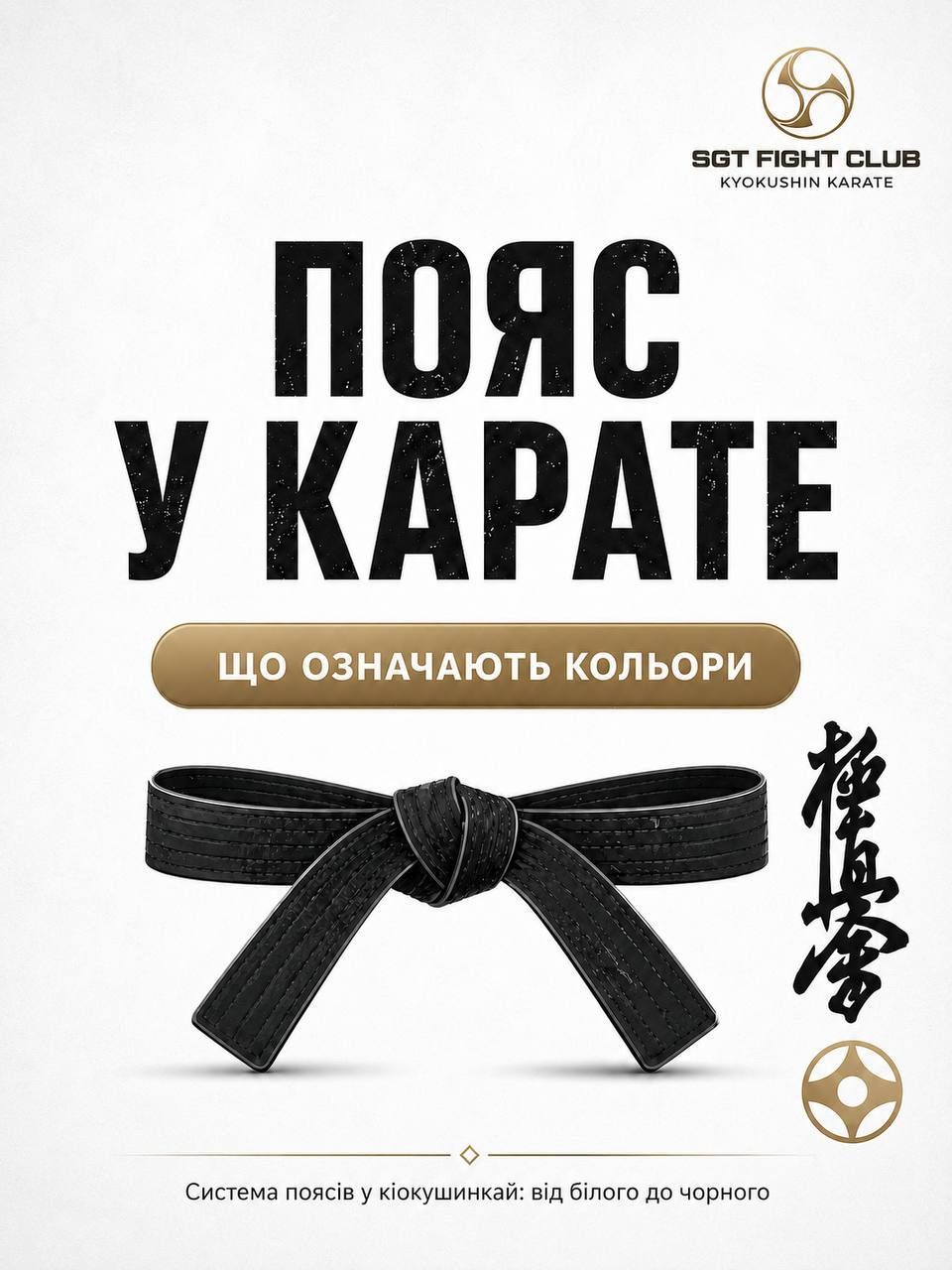 Пояси в карате Кіокушин: що означають кольори та як проходить шлях від білого до чорного