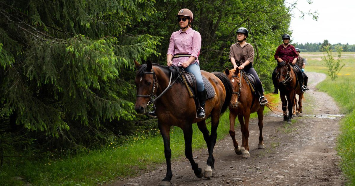 EquiTransylvania 2027 Season: Tour Dates Now Open for Booking