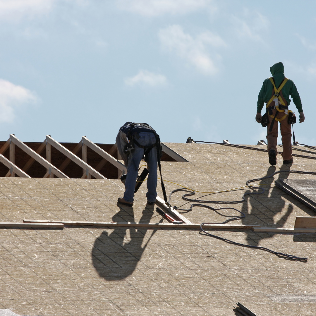 Why Timing Matters: The Best Seasons to Start Your Renovation Project in NYC