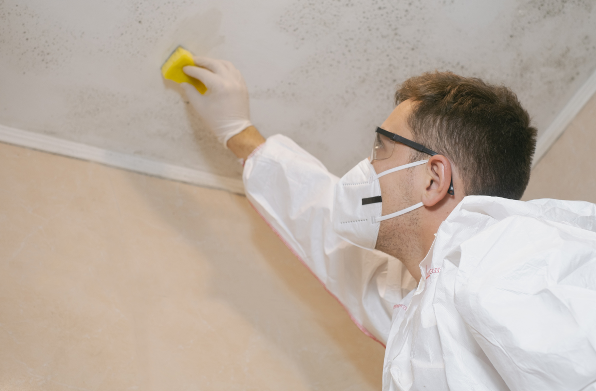 Signs Your Home Needs Professional Mould Testing