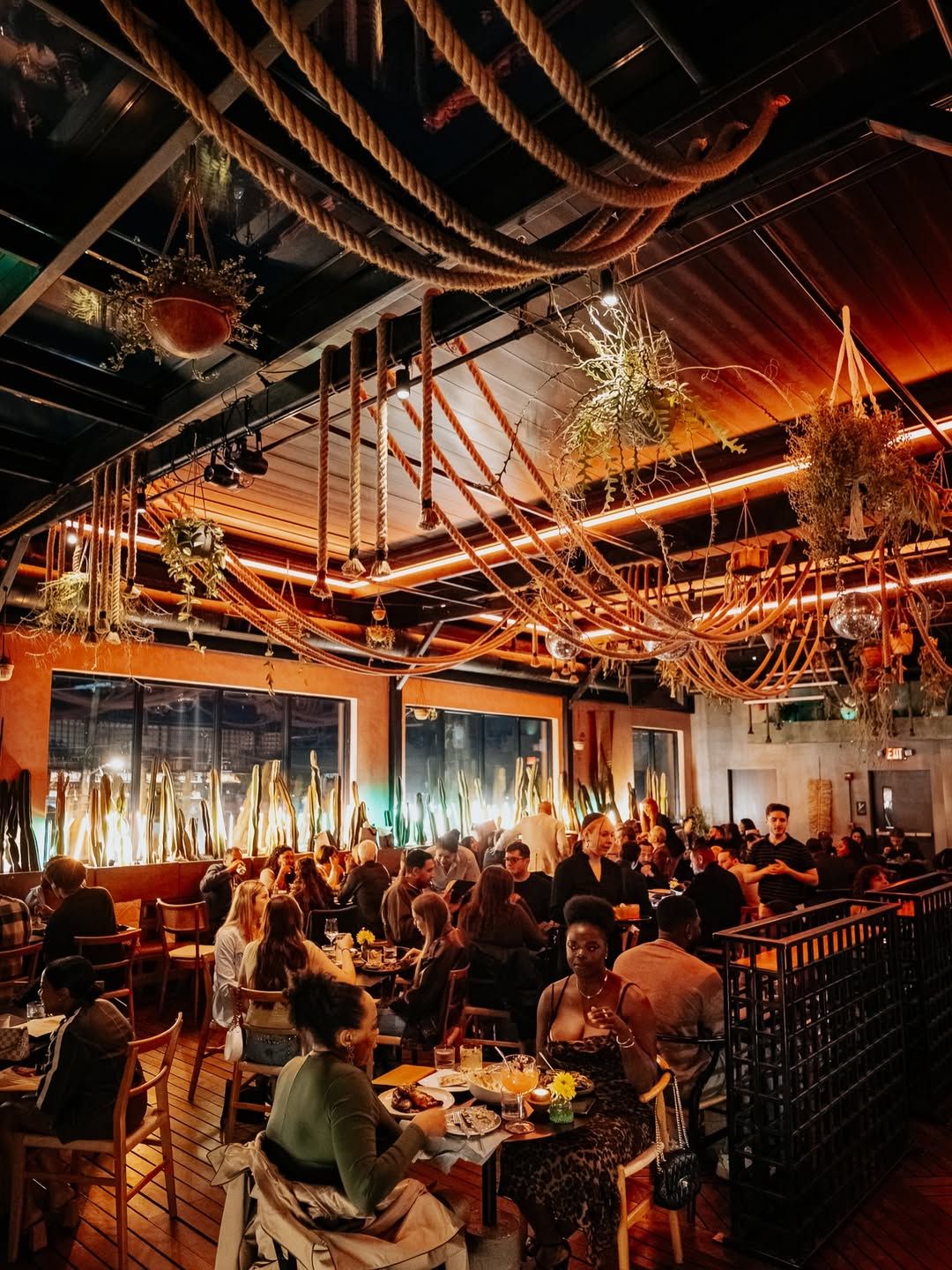 Lebanese Restaurant in DC: Why Vera's Fusion Menu Is Worth the Trip