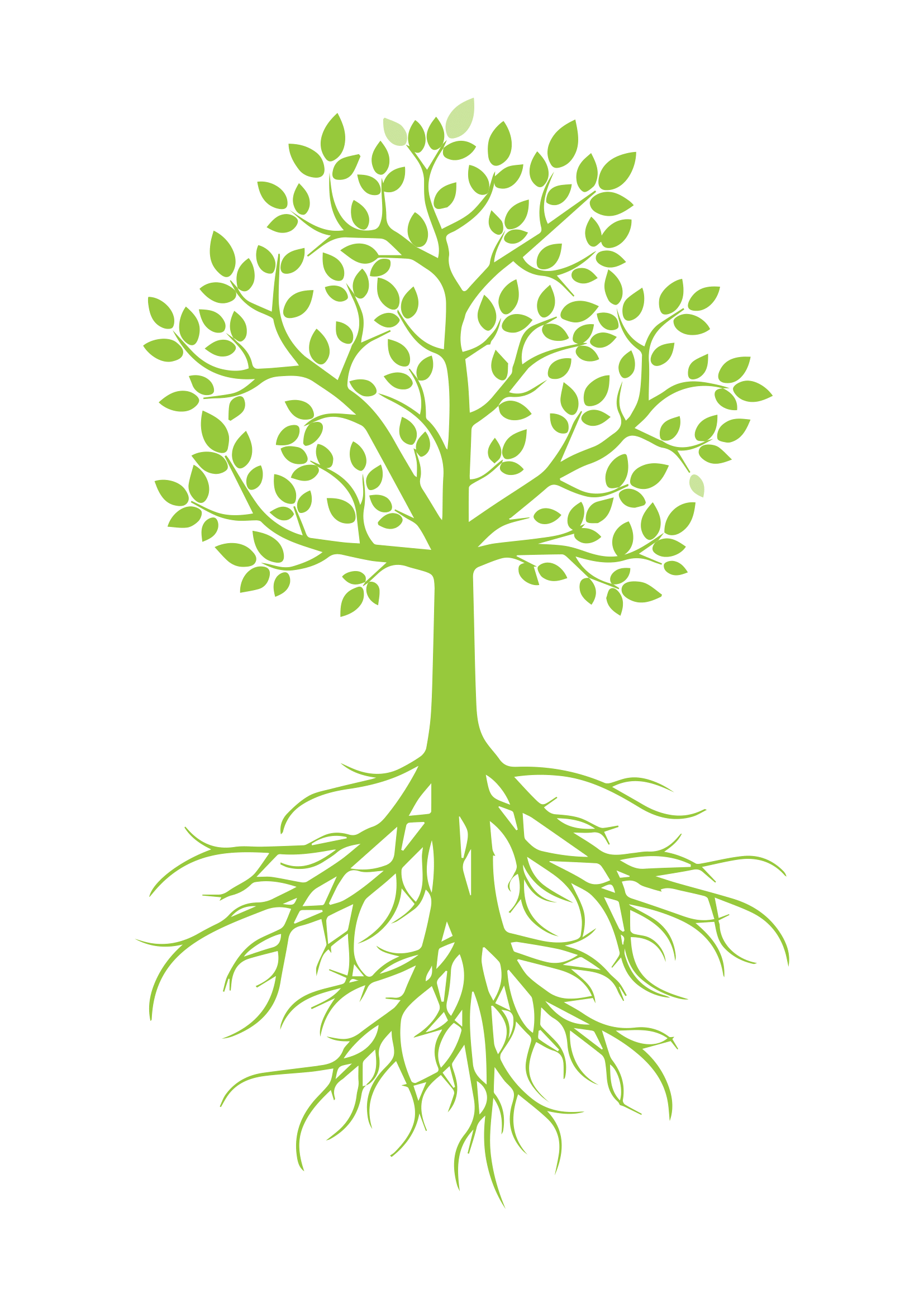 🌳 Лінія розвитку дитини — новий інструмент підтримки у Спільношколі