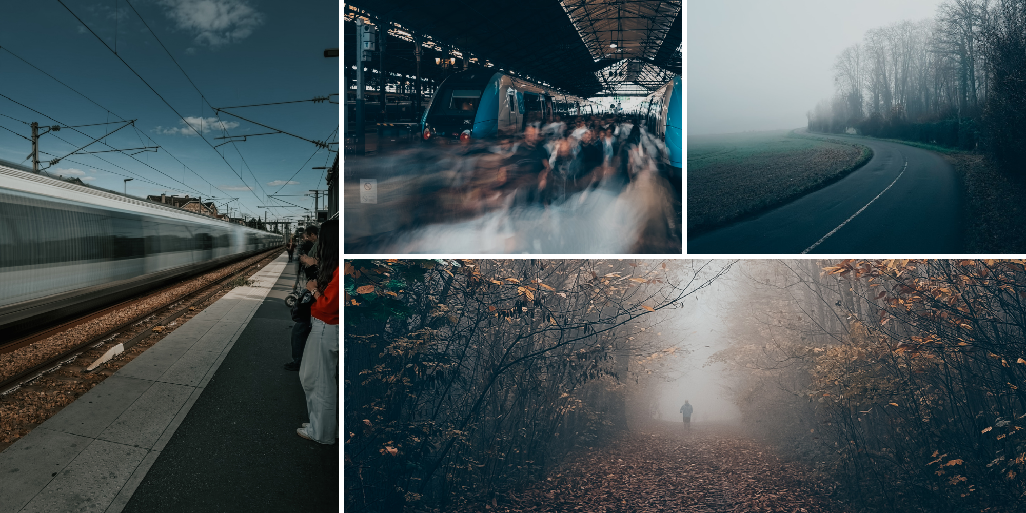 Atelier photo smartphone à Paris : apprendre à mieux photographier avec son iPhone