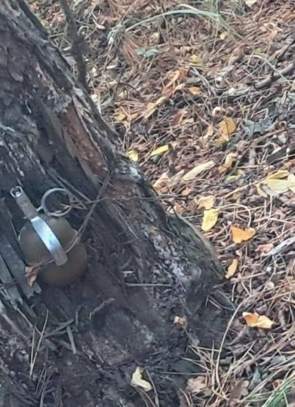 Grenades Instead of Mushrooms: Dangerous Discovery in Kyiv Region