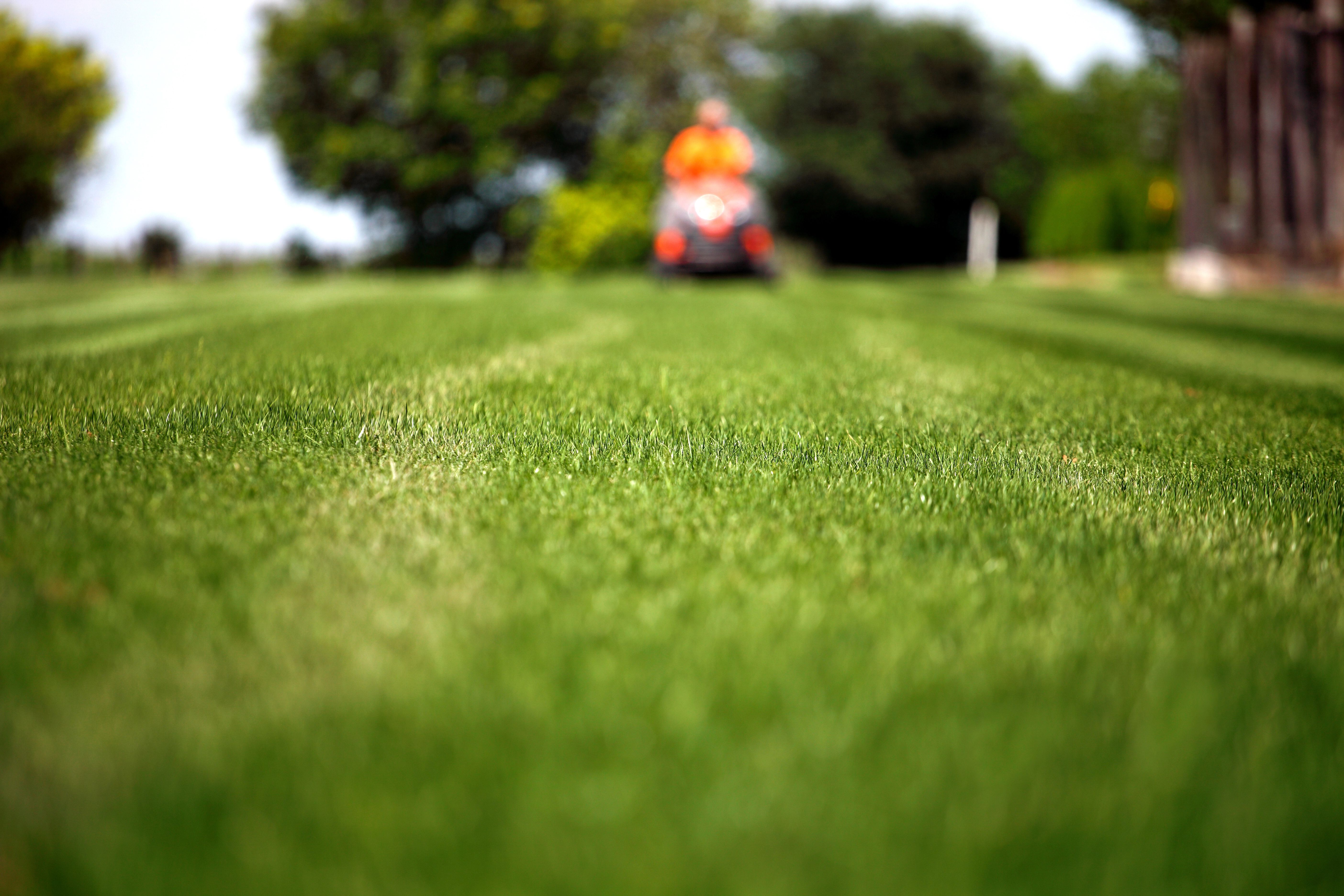 Commercial Groundskeeping Services in Salt Lake City: Why Appearance Matters 