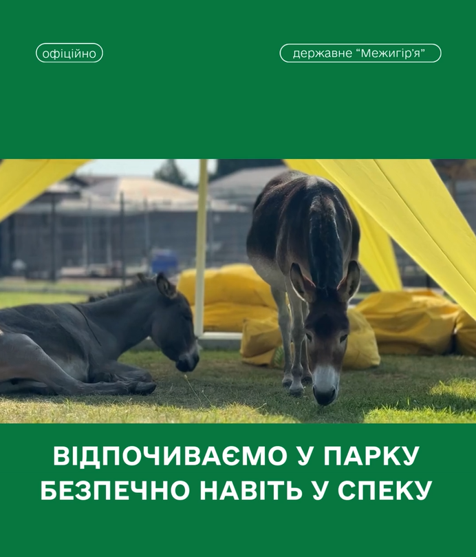 Як комфортно відпочити у парку 