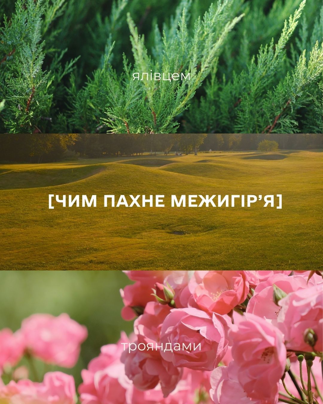 А як пахне Межигір’я для вас?💚