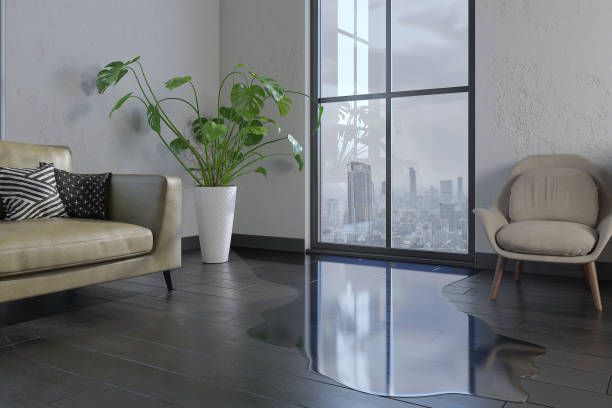 What to Do Immediately After Water Damage in Your Home