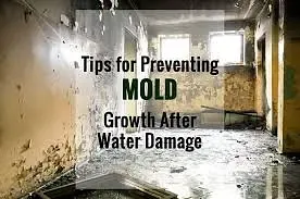 How to Prevent Mold After Water Damage: What to Do in the First 72 Hours